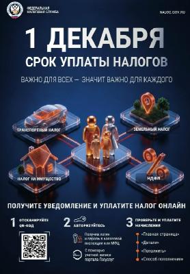  Налоговая грамотность: успейте оплатить налоги до 1 декабря 