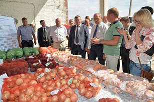 Что будет с покровской овощной базой