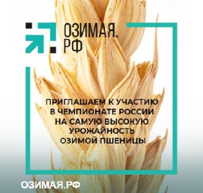 Аграрии региона могут принять участие во Всероссийском чемпионате по урожайности озимой пшеницы «Озимая.РФ»