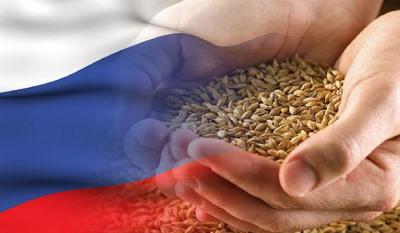 Информация о субсидии