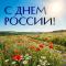 День России. Поздравление Василия Котова