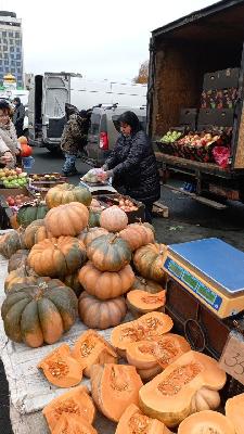 Сегодня на Театральной площади проводится традиционная ярмарка выходного дня 