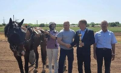 Приз в честь открытия летнего бегового сезона на саратовском ипподроме завоевал жеребец Подснежник, весенний приз – Уголек