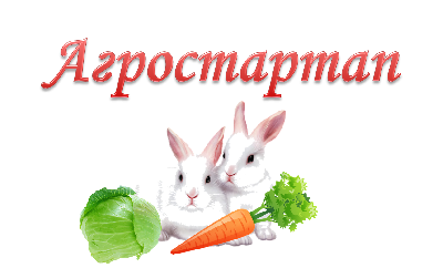 В Саратовской области продолжается предоставление грантов «Агростартап» в форме субсидий на реализацию проектов создания и (или) развития хозяйства