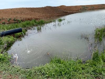 В Энгельсском районе завершилась закачка воды в  пруды Новопушкинского муниципального образования